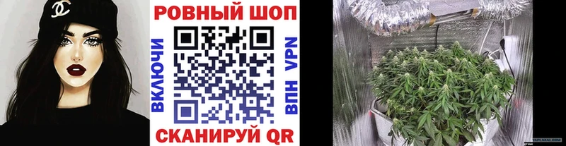 Купить закладку Амфетамин  МЕФ  ГАШ  МАРИХУАНА  Камышин