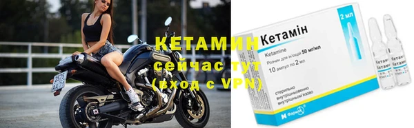 стаф Липки