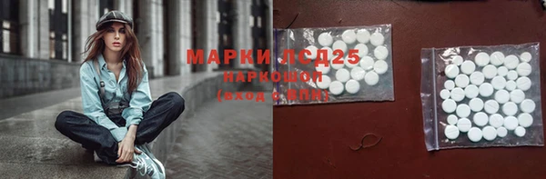 стаф Липки