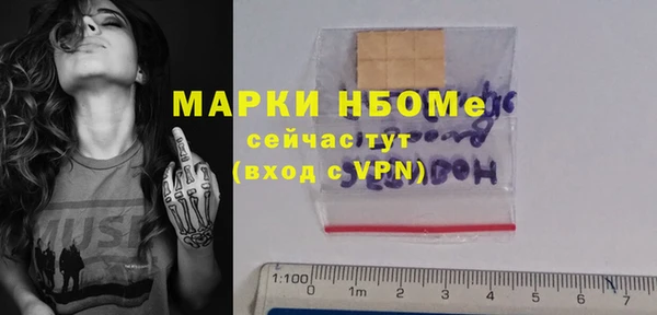 стаф Липки