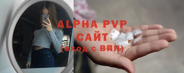 стаф Липки