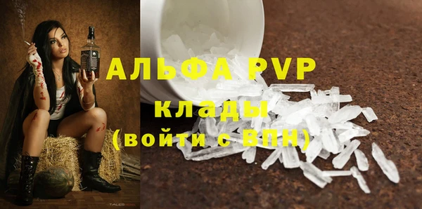 стаф Липки