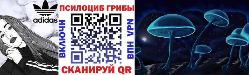 Псилоцибиновые грибы Cubensis  Купить где  Камышин 